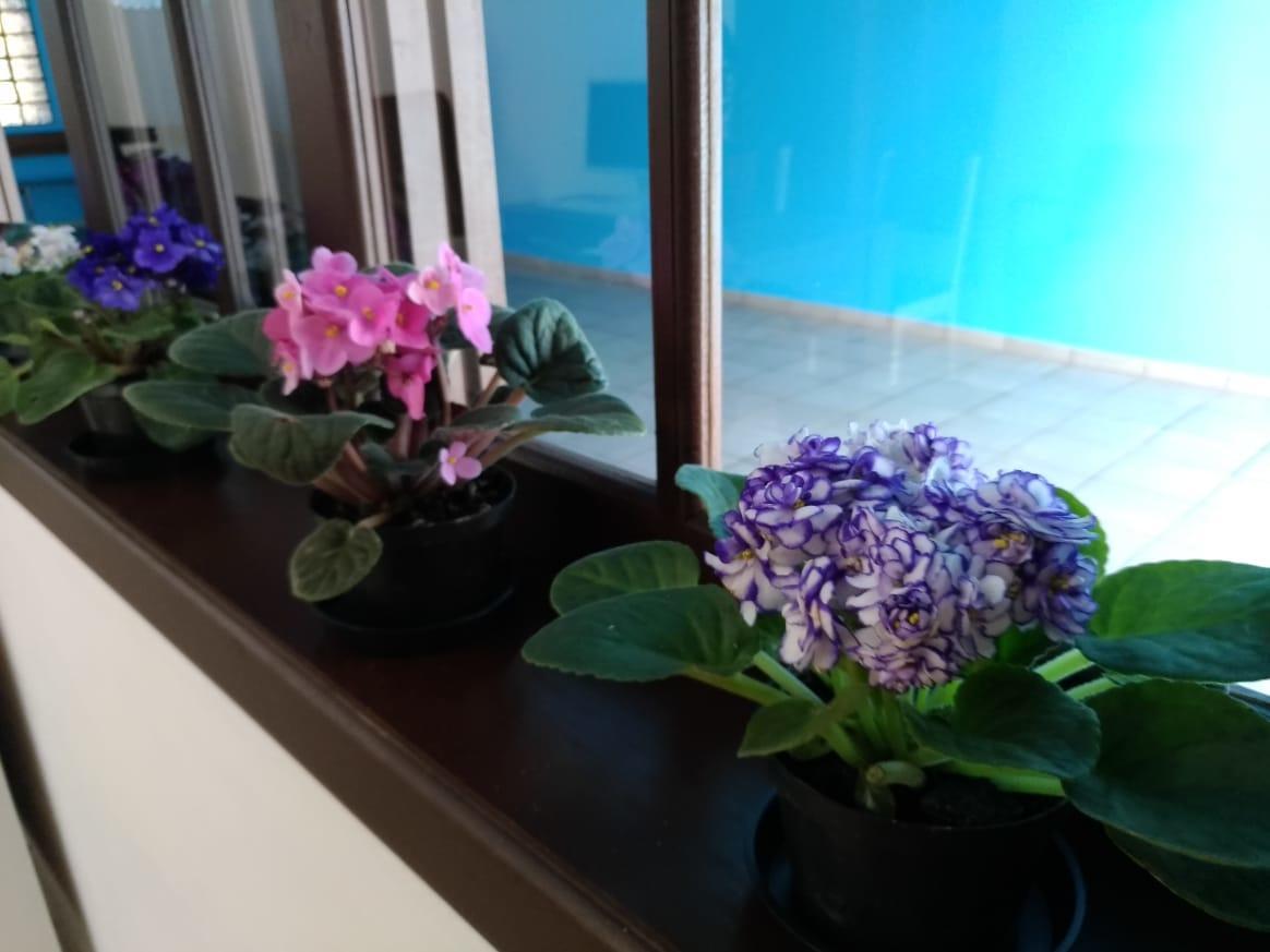 Hostel Villa Pomerania โปเมโรเจ ภายนอก รูปภาพ
